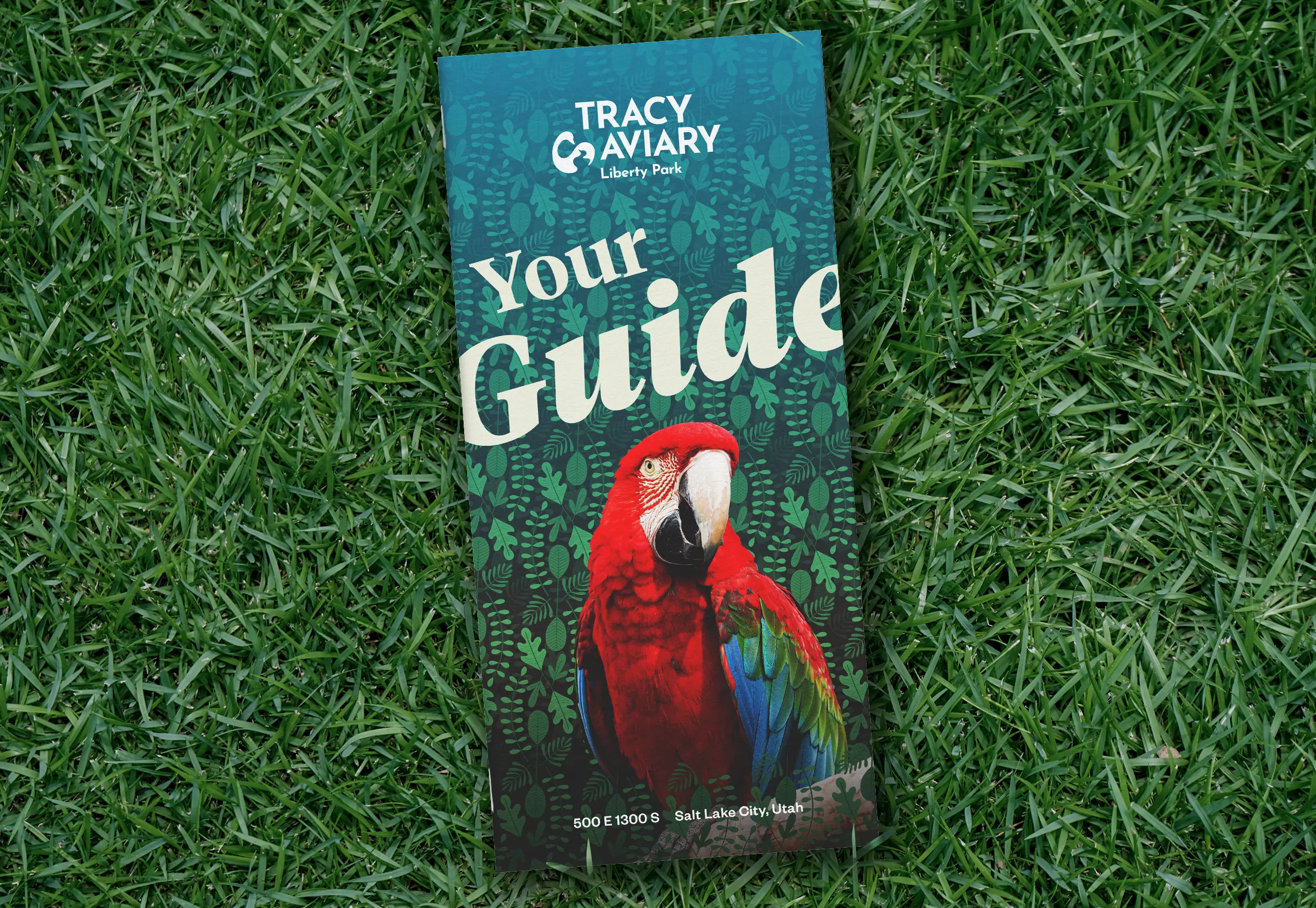 Print design and layout for Tracy Aviary quarterly program guide