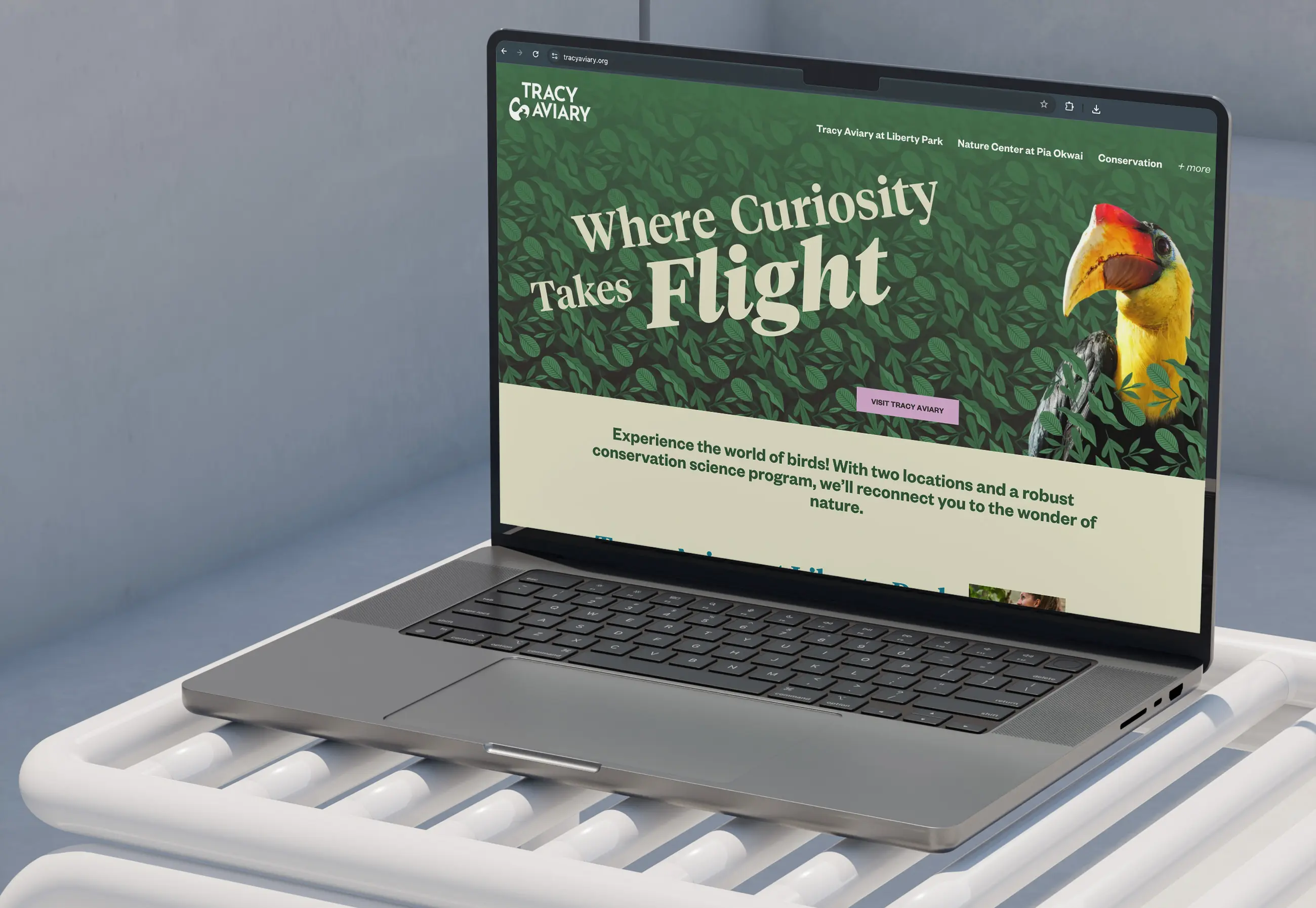 Mobile-first web design and UX strategy for a civic institution