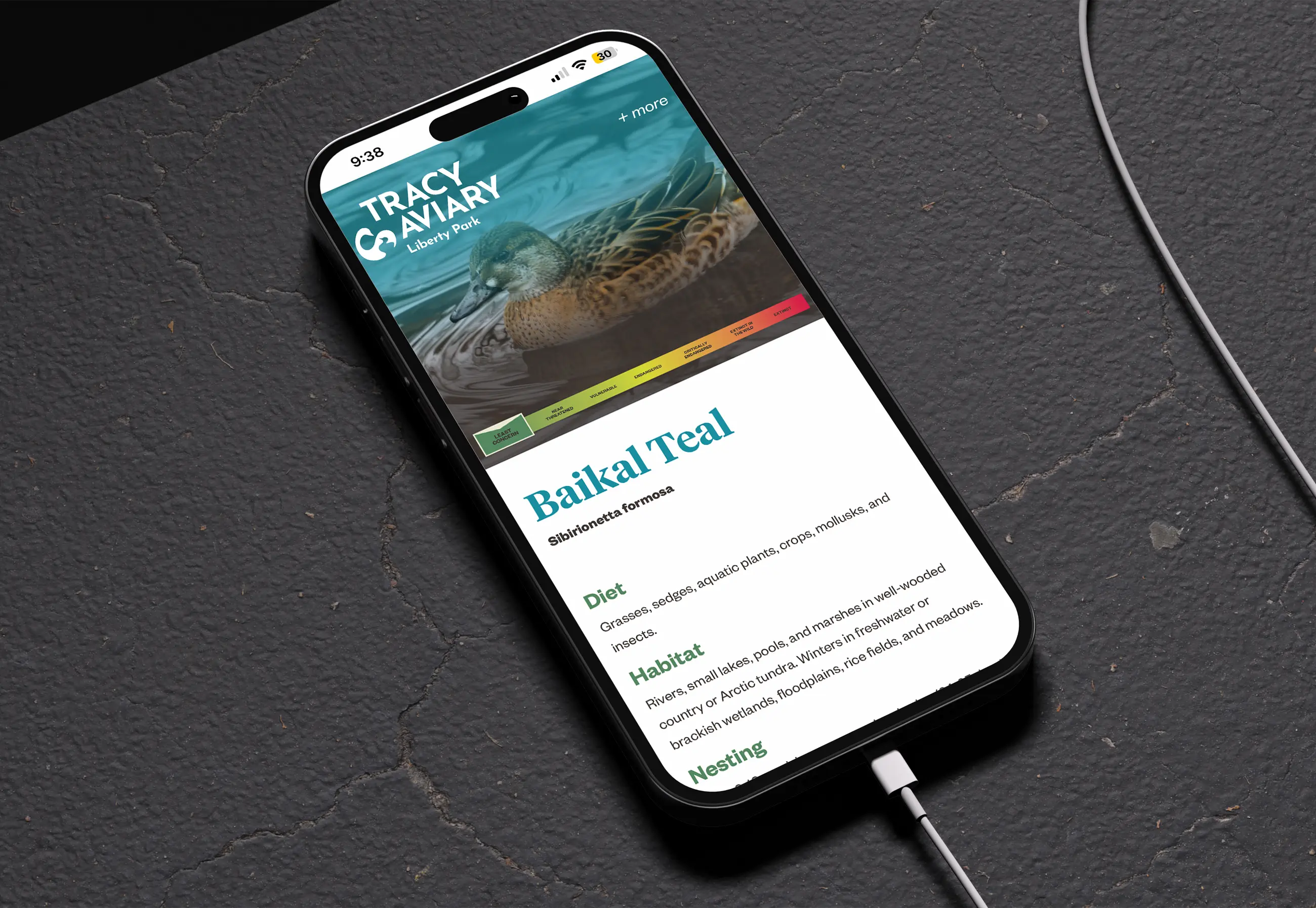 Mobile-first web design and UX strategy for a civic institution