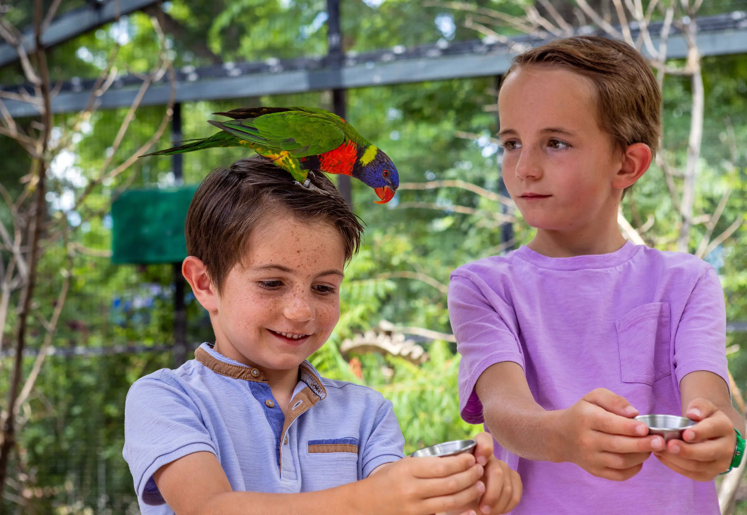 Tracy Aviary Photoshoot - Lorikeet Encounter