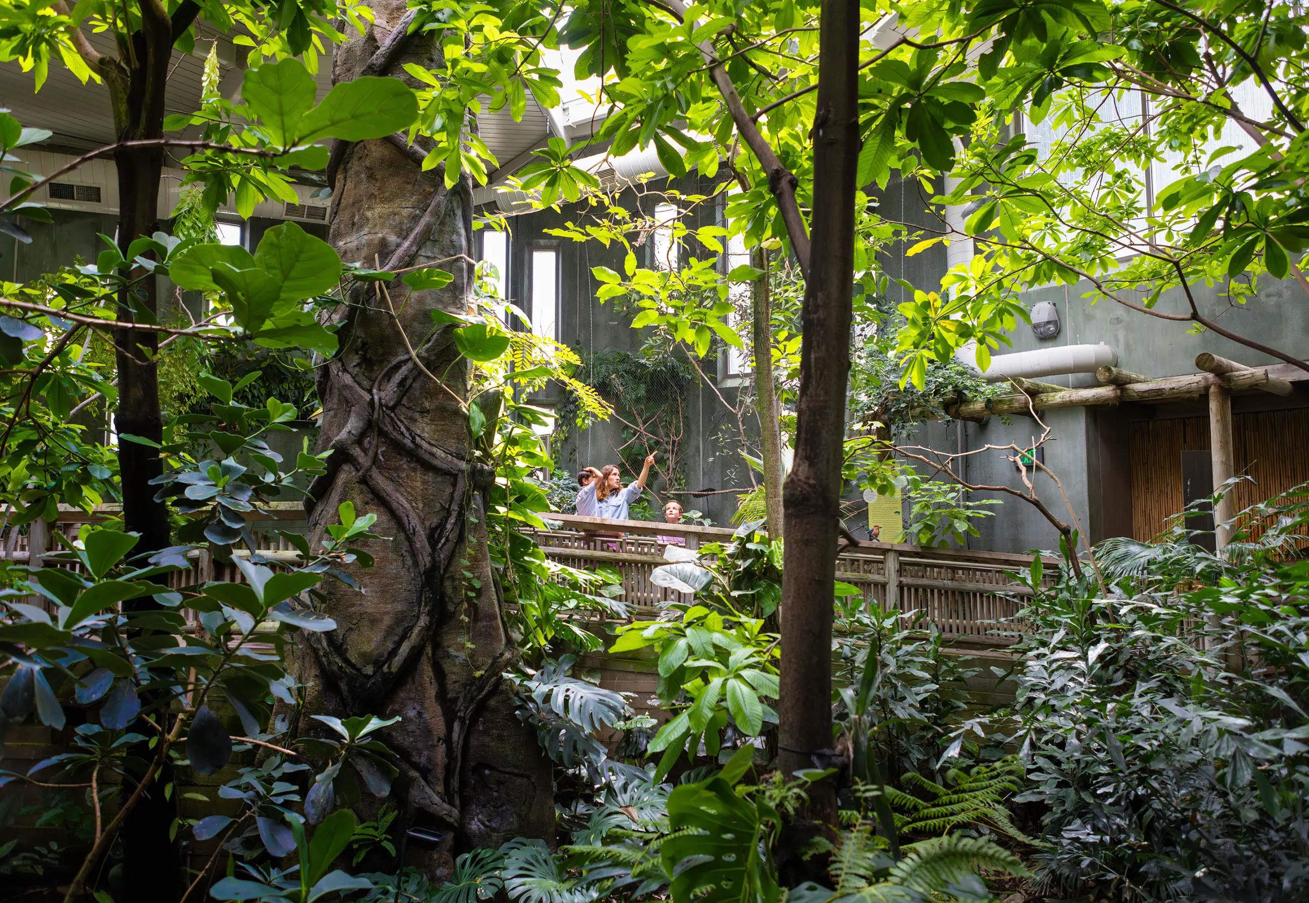Tracy Aviary Photoshoot - Rainforest