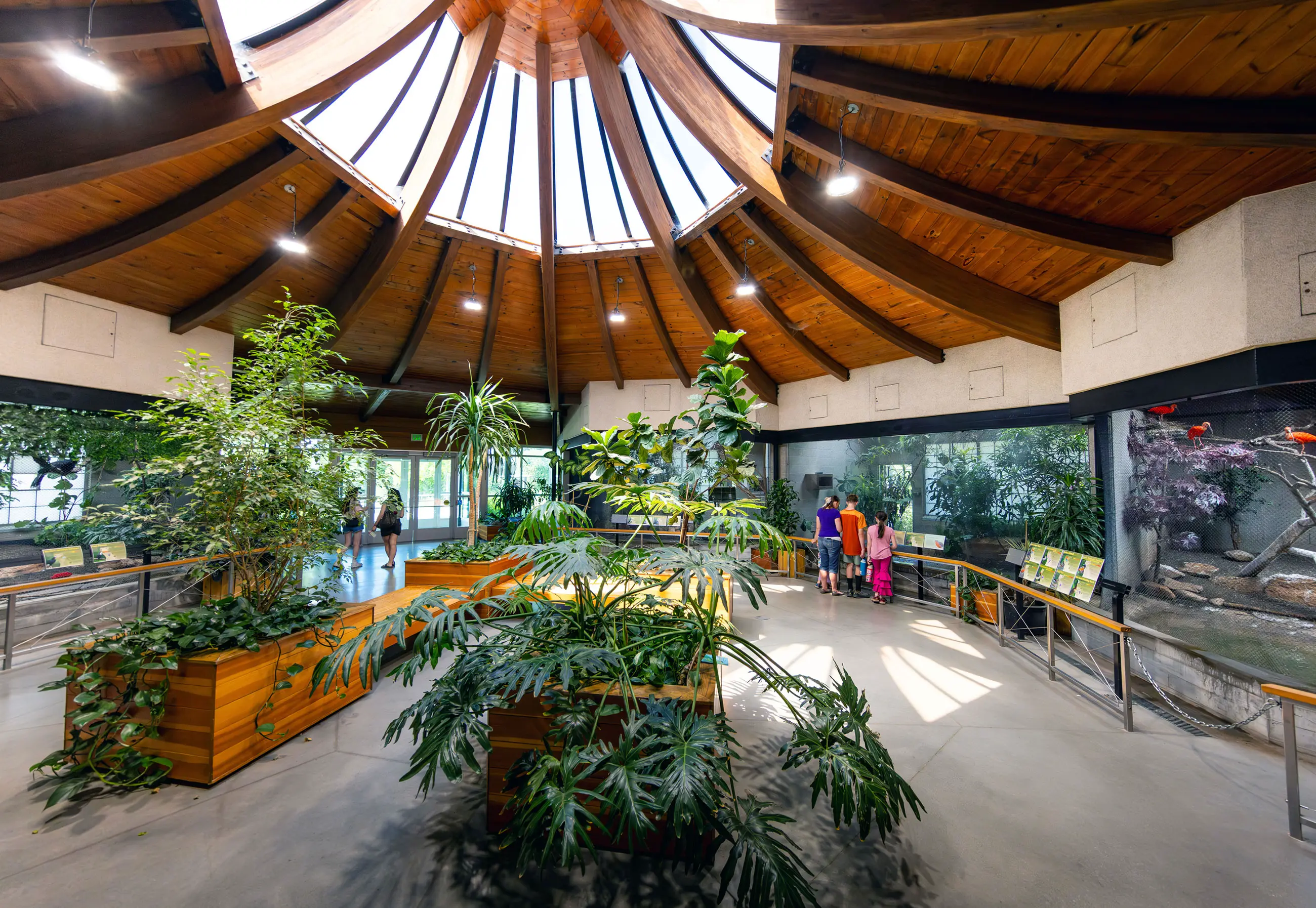 Tracy Aviary Photoshoot - South America Pavilion